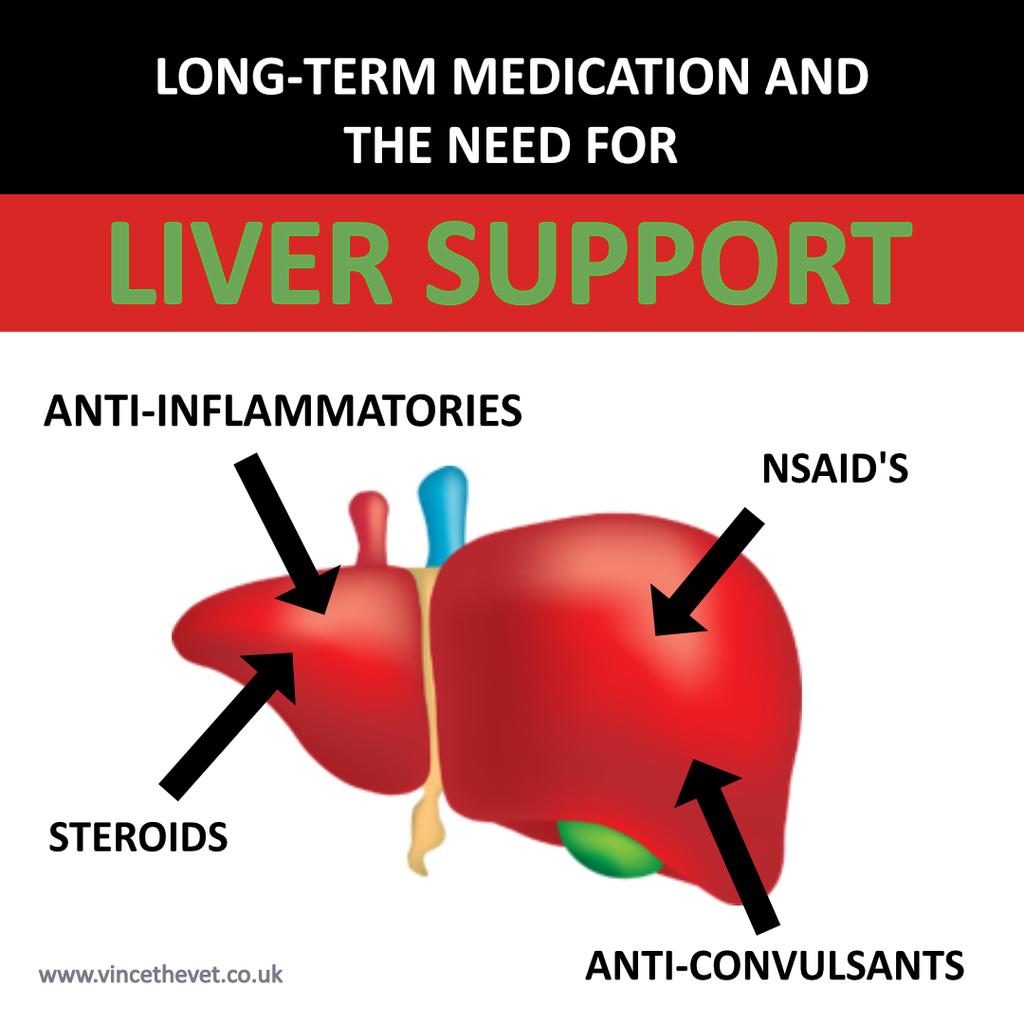 Why Pets On Long Term Medication Need Liver Support