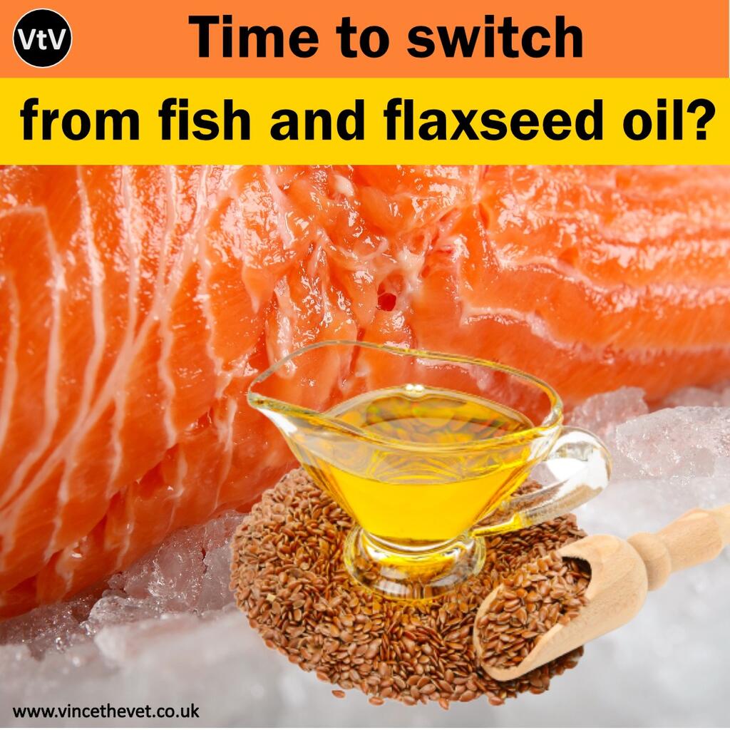 TIME TO SWITCH FROM FISH AND FLAXSEED OIL?