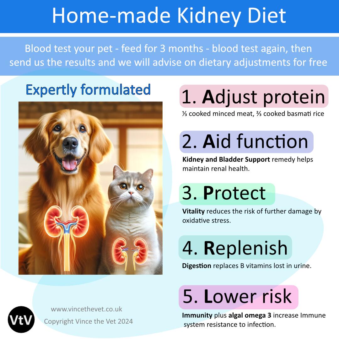 Home cooked kidney hot sale diet for dogs