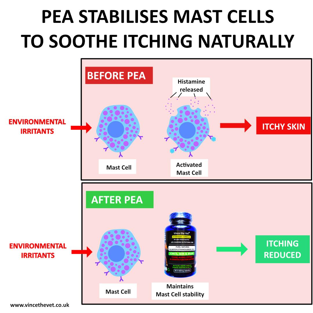 mast-cell-stabilisation---pea.jpg