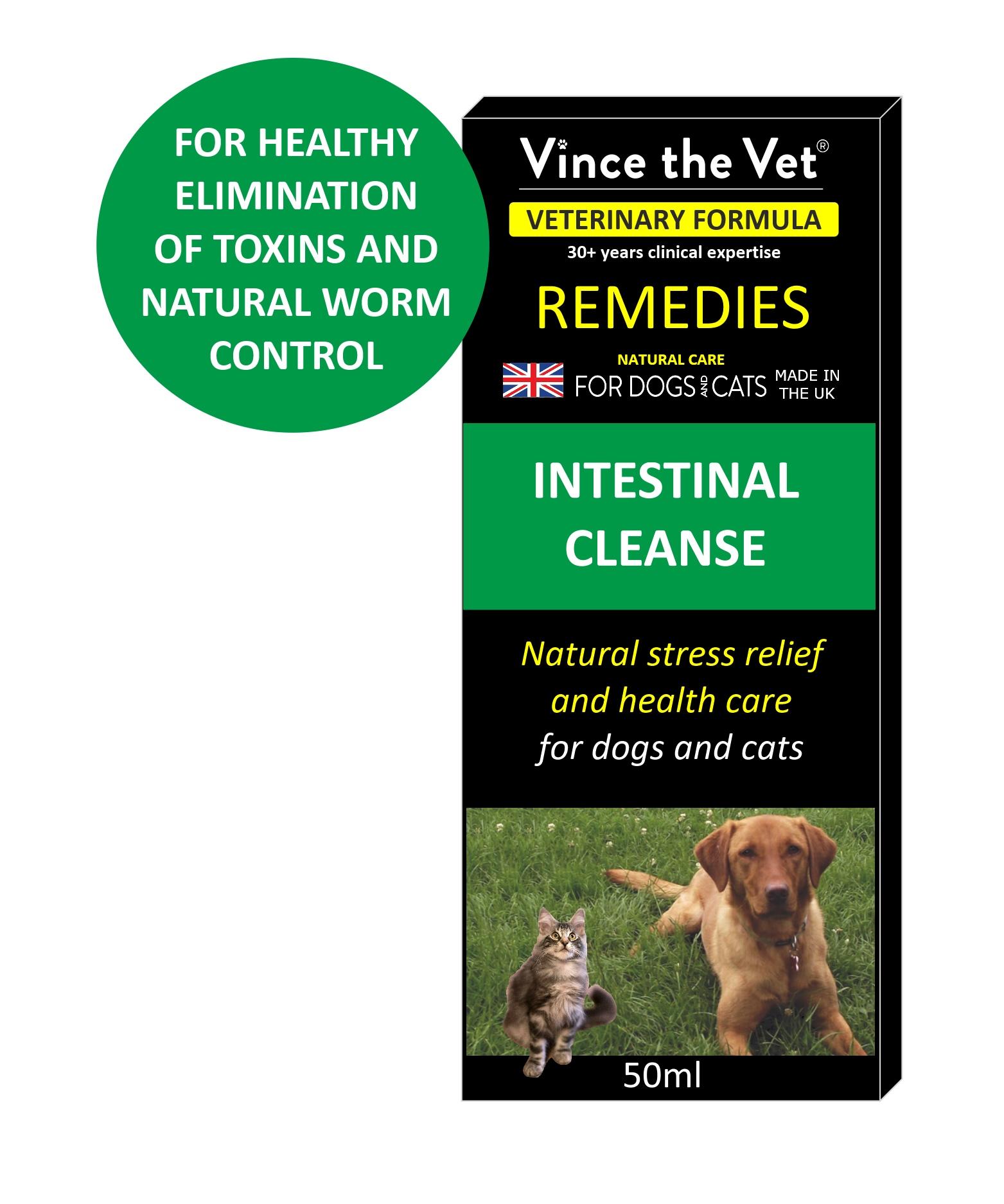 how to naturally treat intestinal parasites in dogs