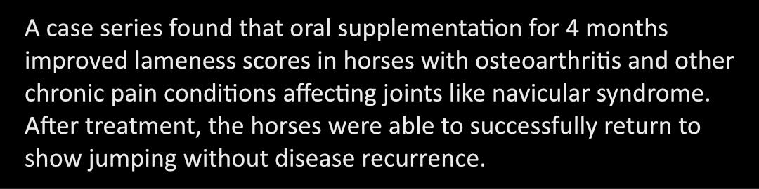 horses-lameness-black.jpg
