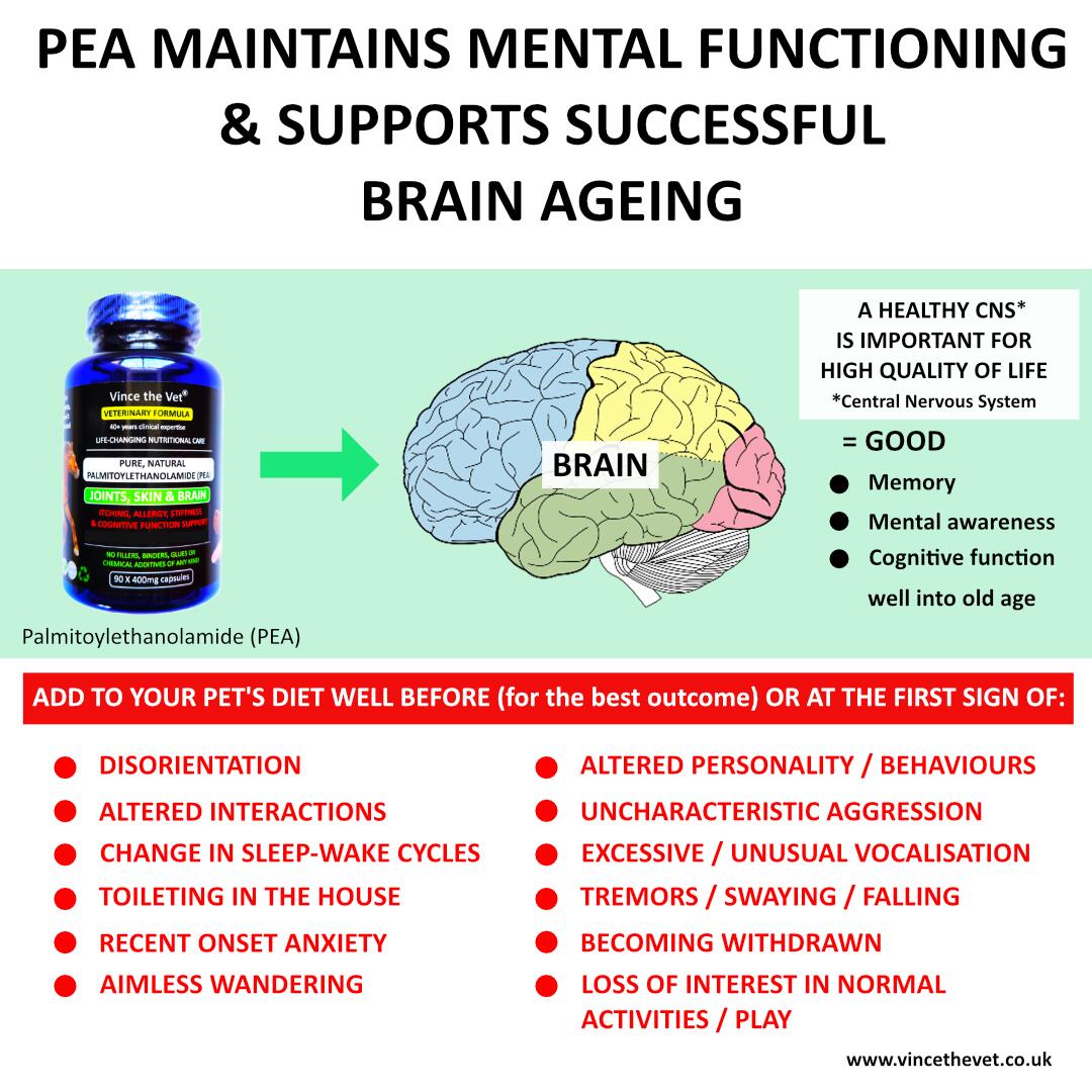 pea-maintains-mental-functioning-successful-brain-ageing.jpg