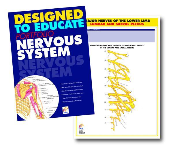 Nervous System Education Manual
