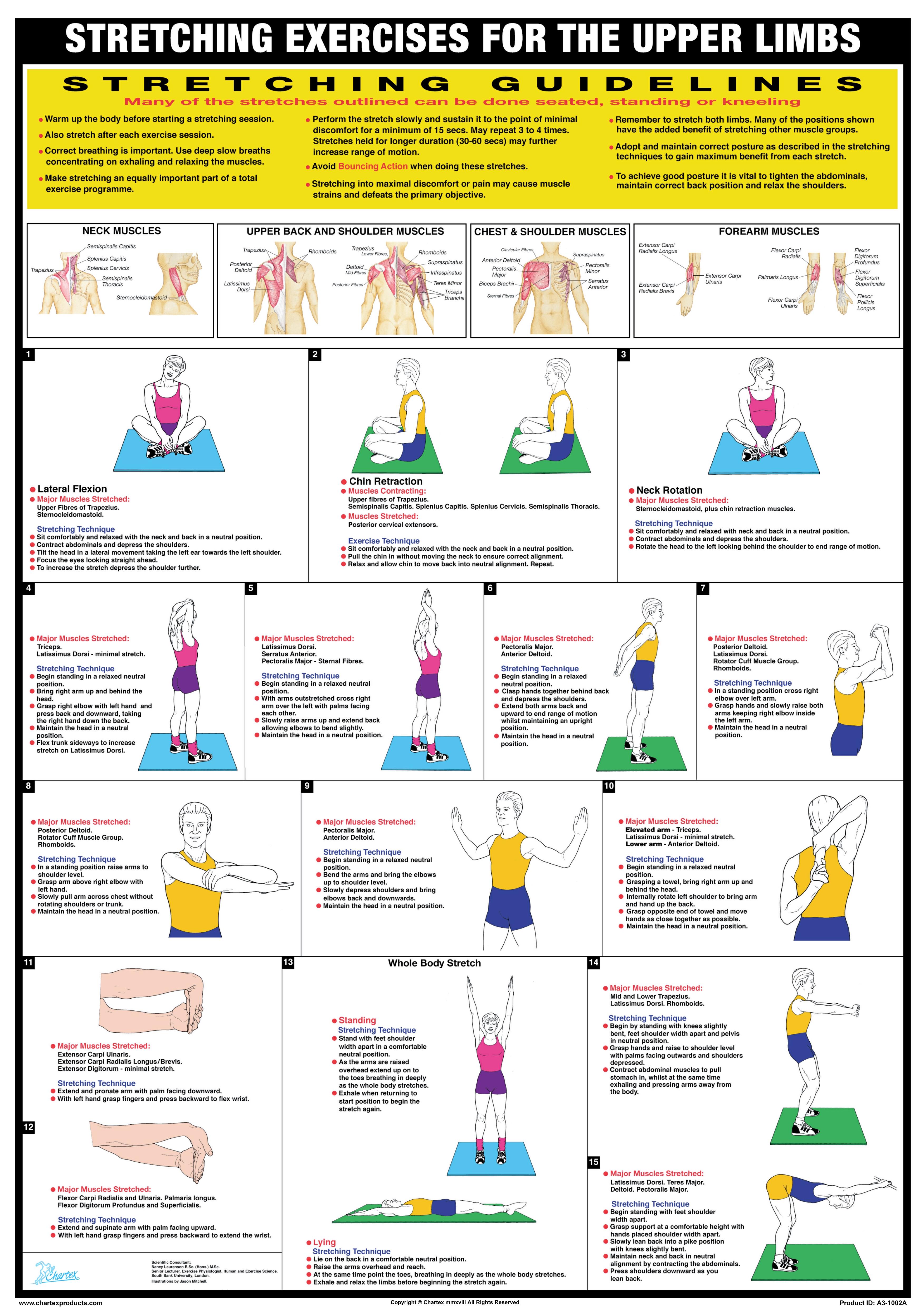STRETCHING EXERCISES Professional Fitness Gym Wall Charts 3 POSTER SET byChartex 