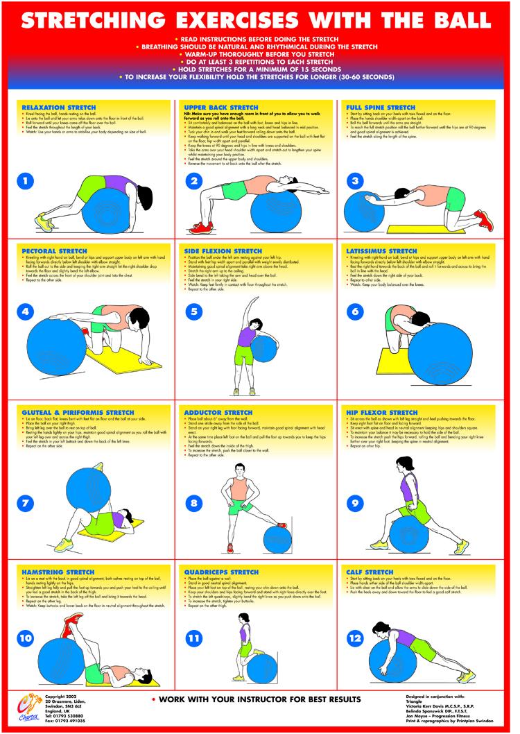 Exercise Ball Stretching Chart