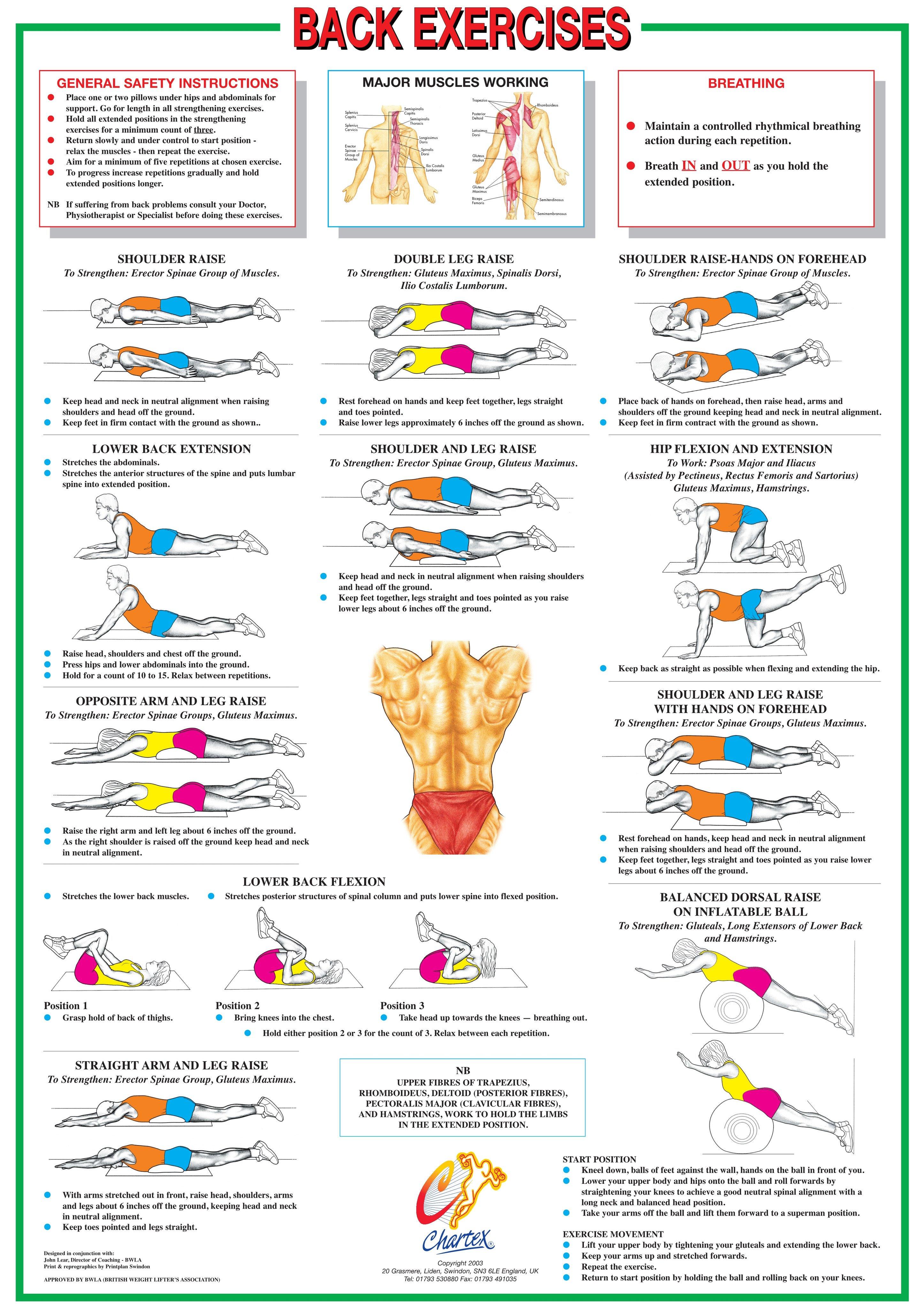 Back And Core Muscles Floor Exercise Chart