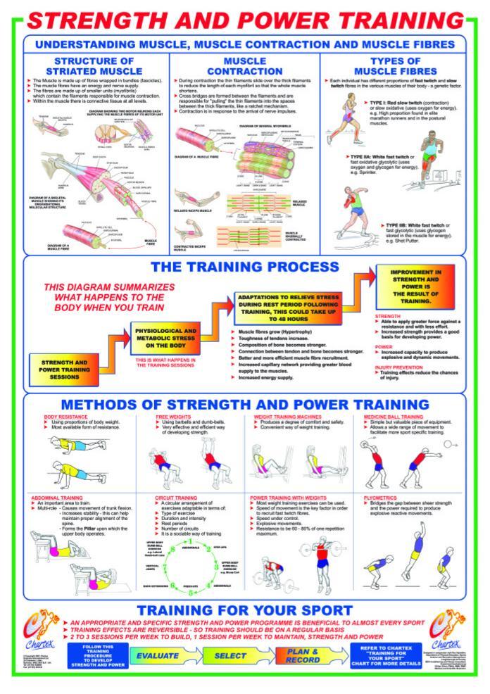 Strength and Power Training Chart