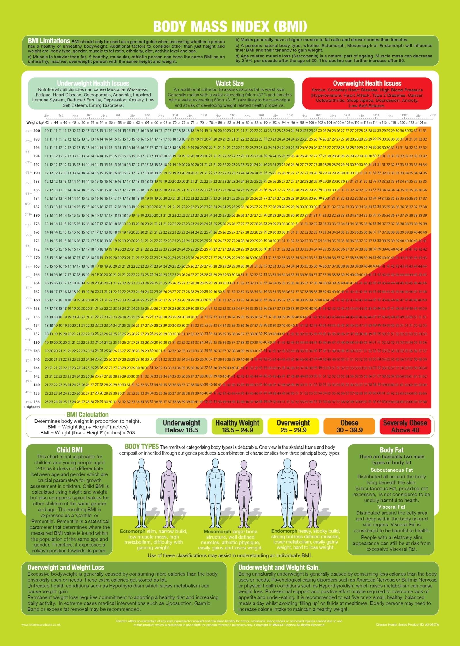Body Mass Index Chart BMI Poster