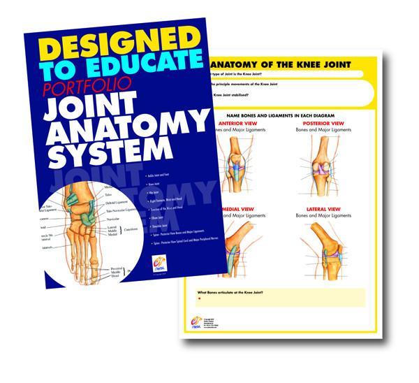 Joint Anatomy Education Manual