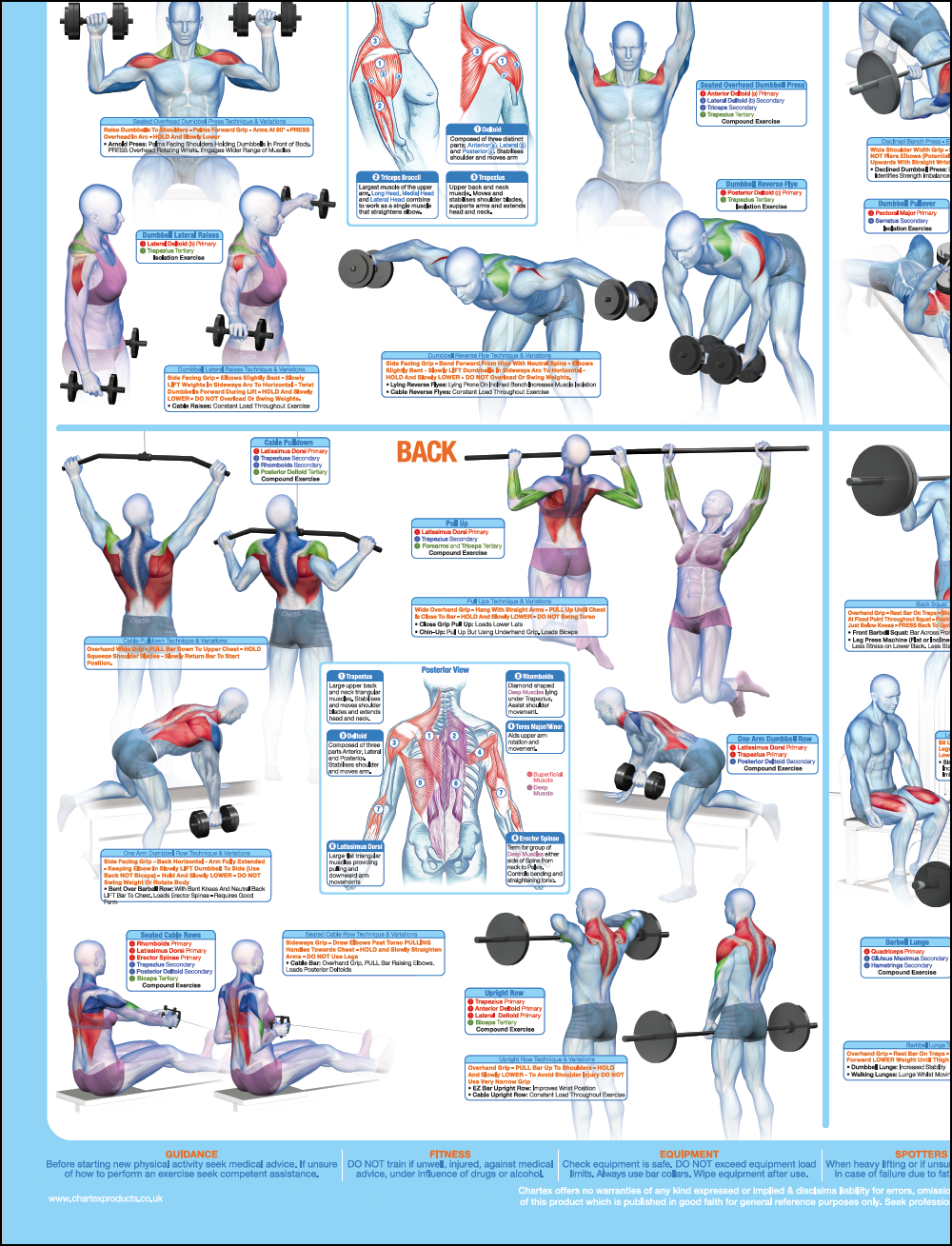 Body Weight Exercise Chart
