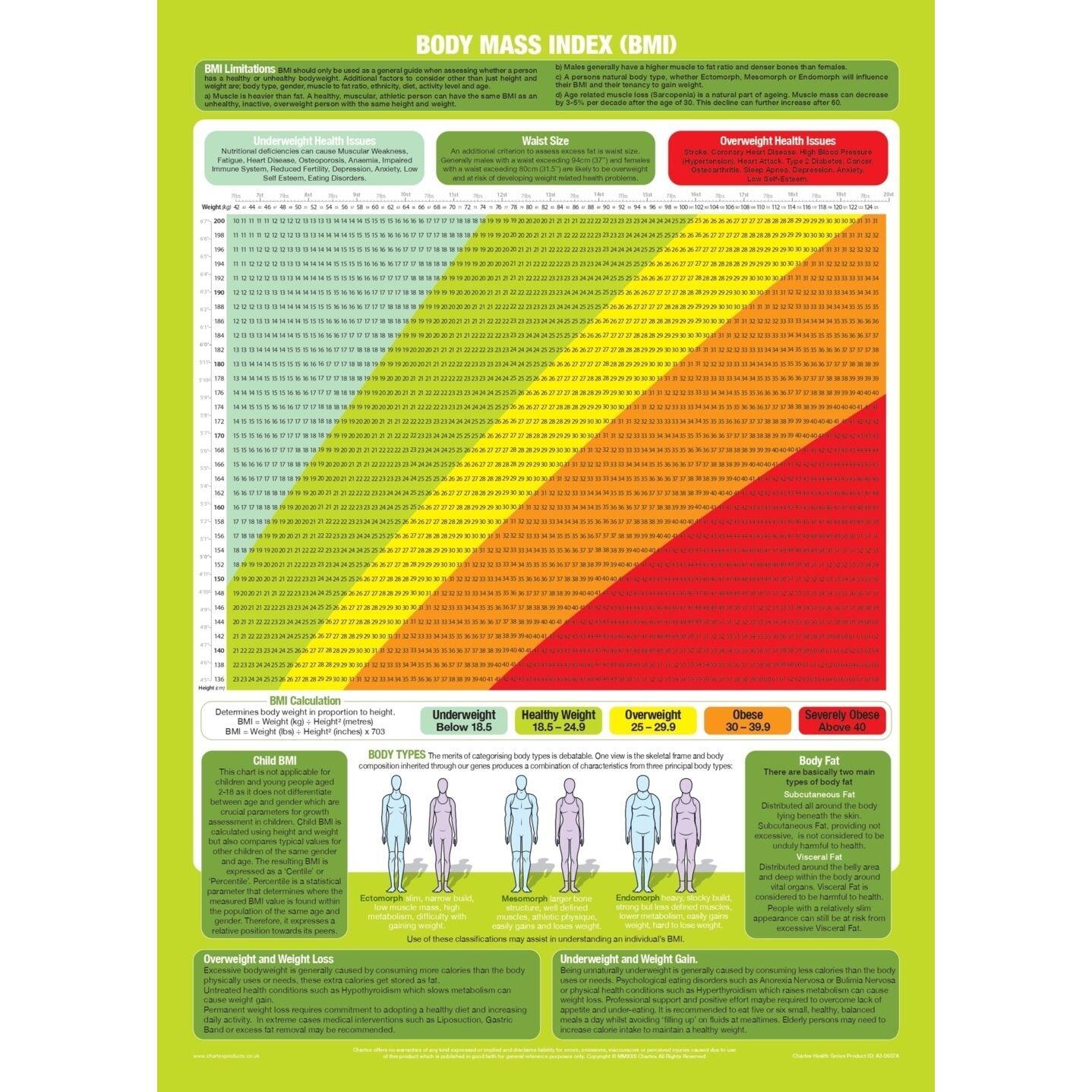 Body Mass Index Chart | BMI Poster