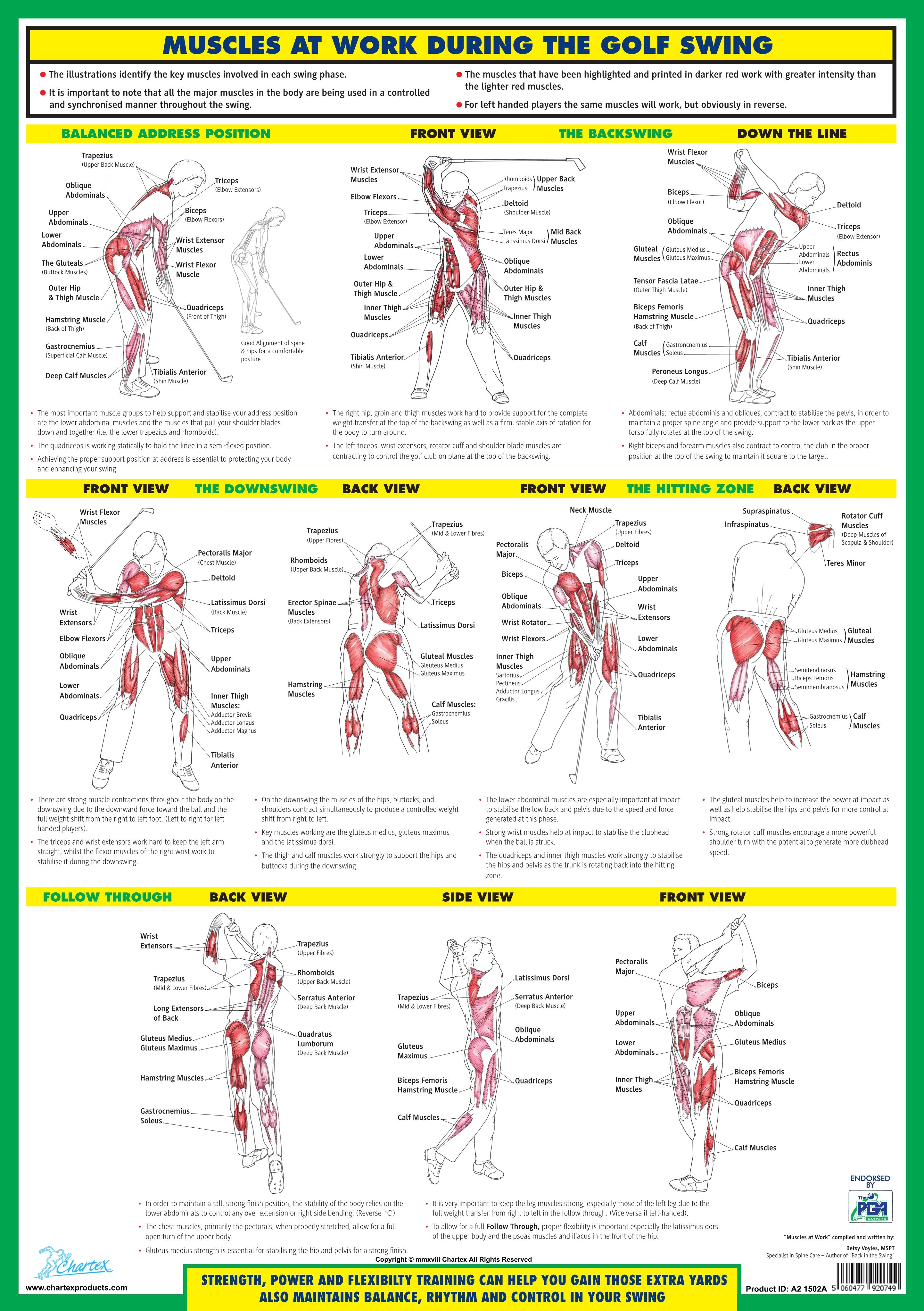 Golf Training Posters