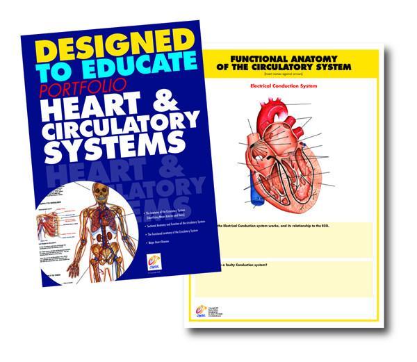 Heart and Circulatory System Educational Manual