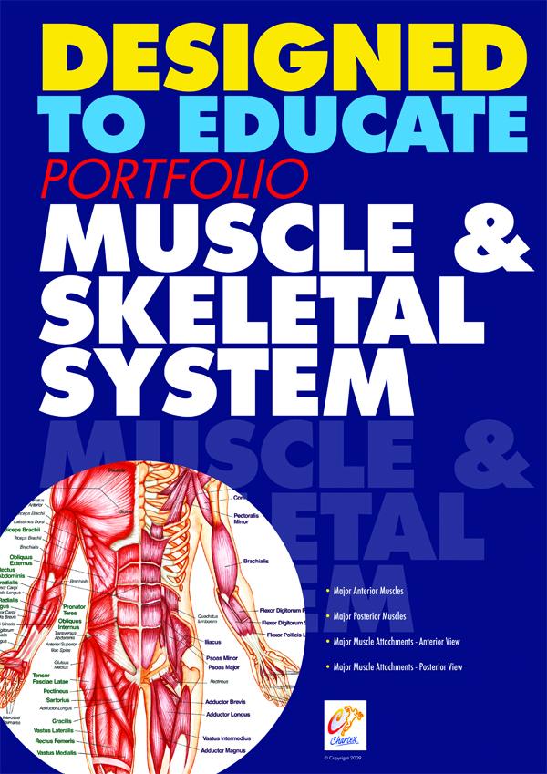 Anatomy Education Manuals