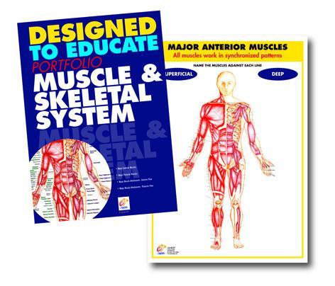 Anatomy and Physiology Education Manuals - Set of 4