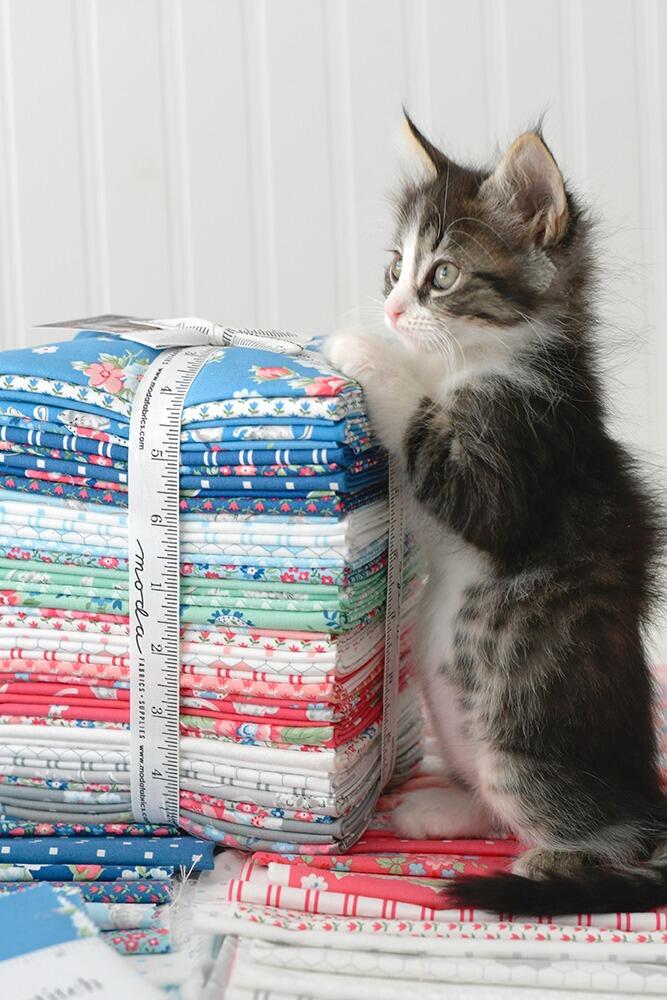 Moda, a cat named stitch charm pack, pastel floral fabric, cottagecore, roses, squares for patchwork, cotton, easy quilting, precut squares,charm pack, camille roskelly