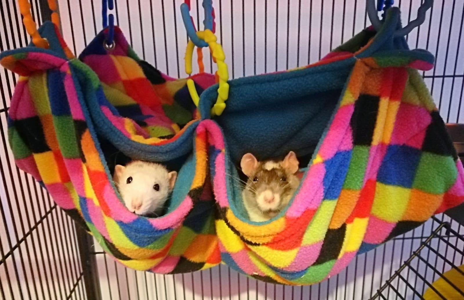 Fuzzbutt "Stack and a half" extra wide double hammock for rats, chinchillas, ferrets