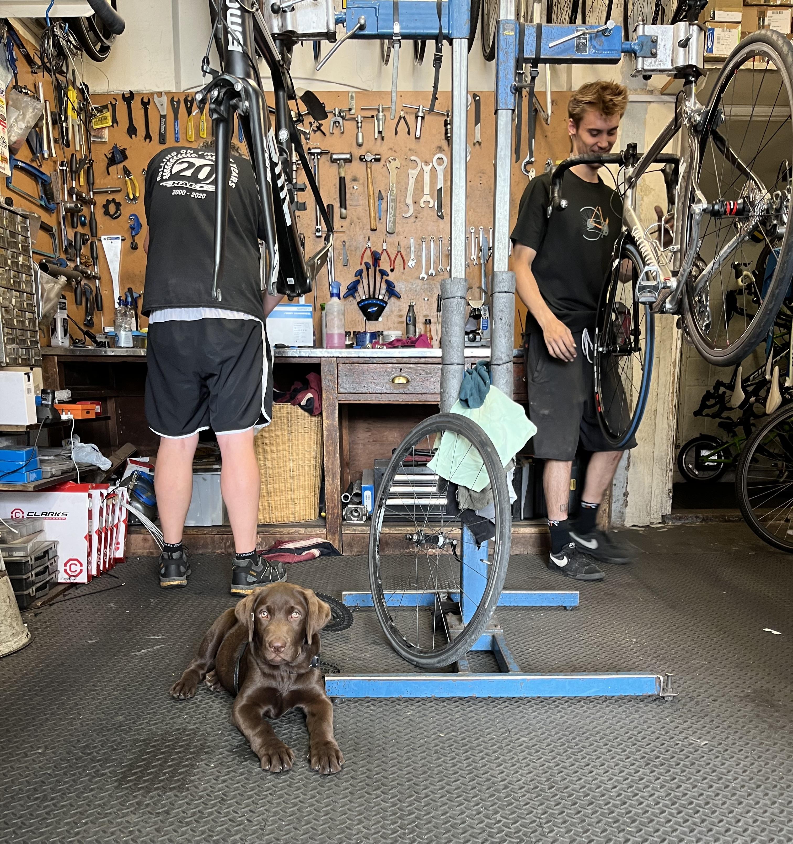 SW Bicycle Company