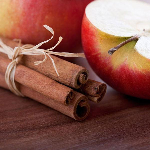 Apple Cinnamon Wax Melt Snap Bars