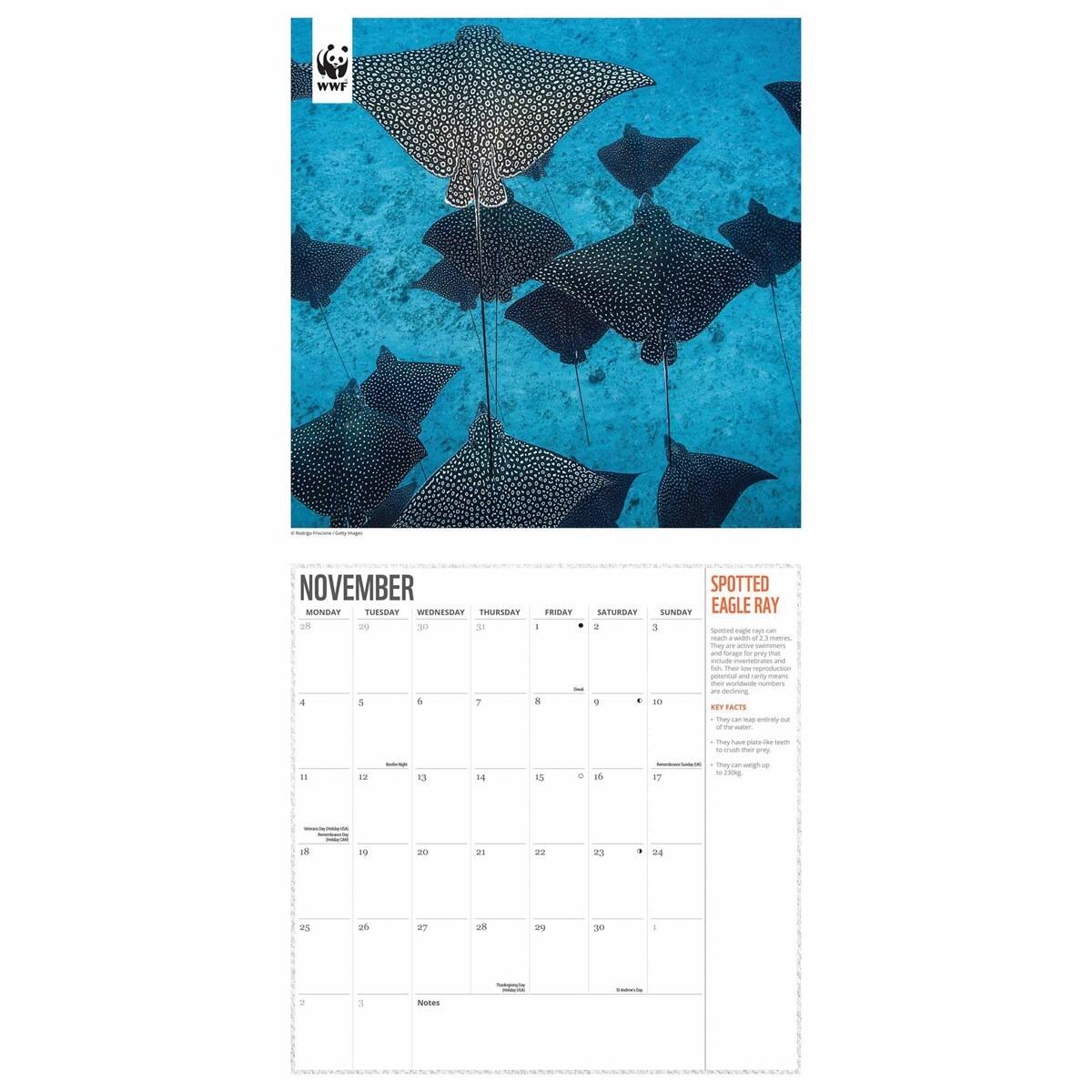 2024 WWF Oceans Square Wall Calendar