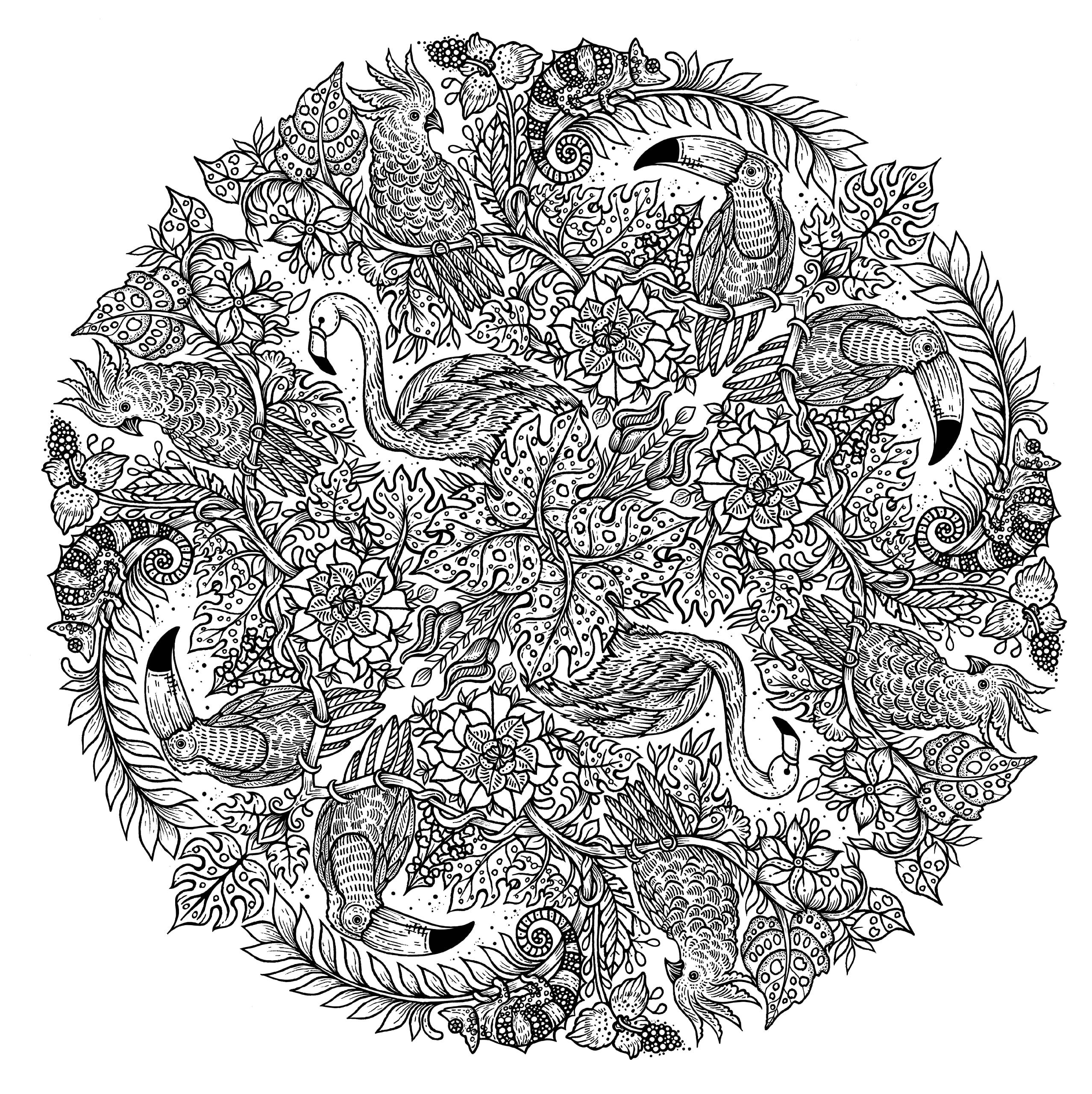 Nature Mandalas A Colouring Meditation Colouring Book