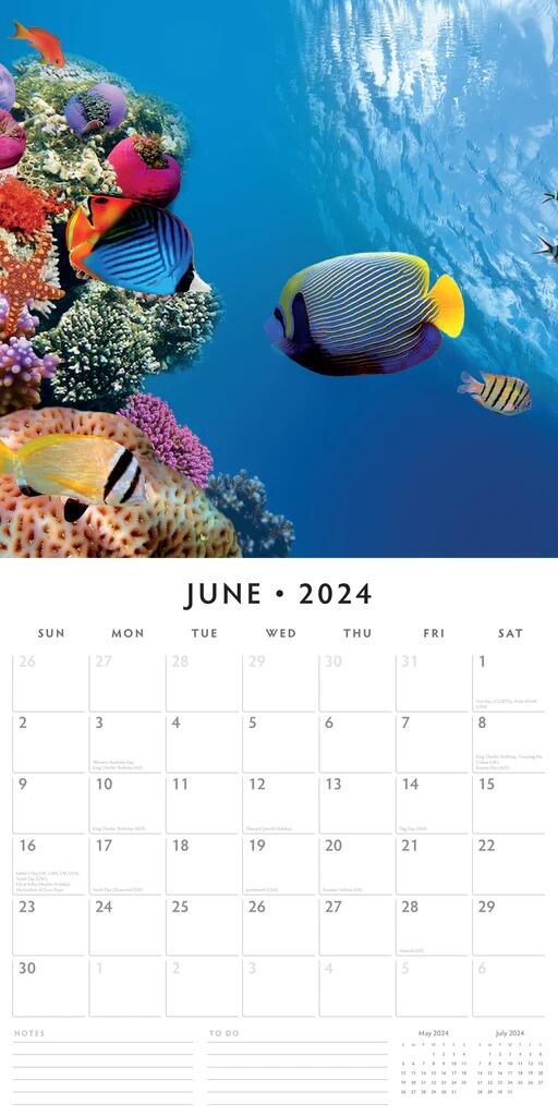 2024 WWF Oceans Square Wall Calendar