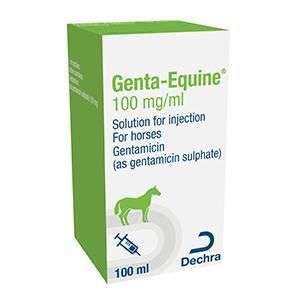 Genta Equine 10% Injection 100ml