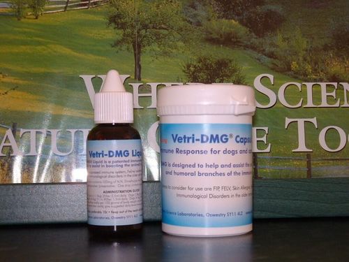 Vetri Liquid Dmg** 30ml