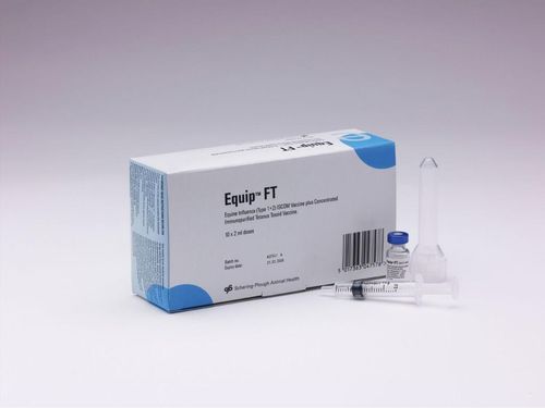 Equip Ft Injection (New) 10d