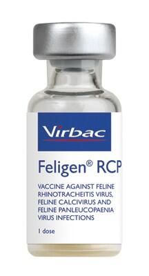 Feligen Rcp Pwdr Solution For Injection Cat