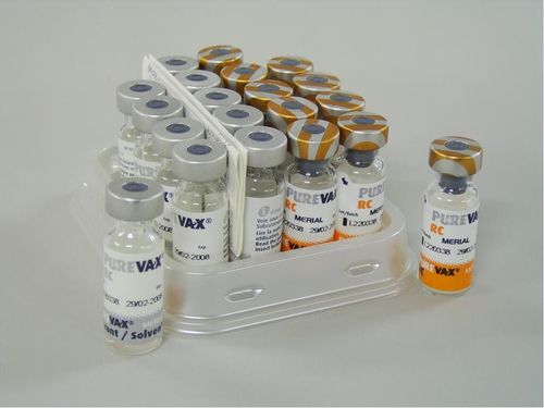 Purevax Rc 10d