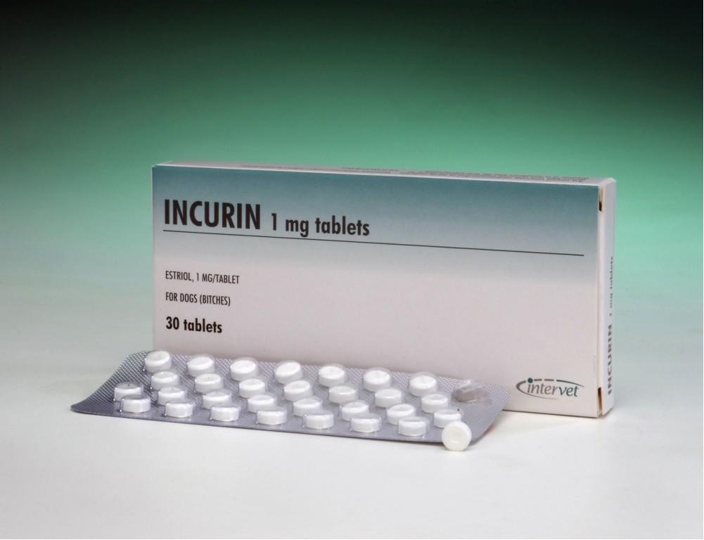 Dog incontinence medication uk top