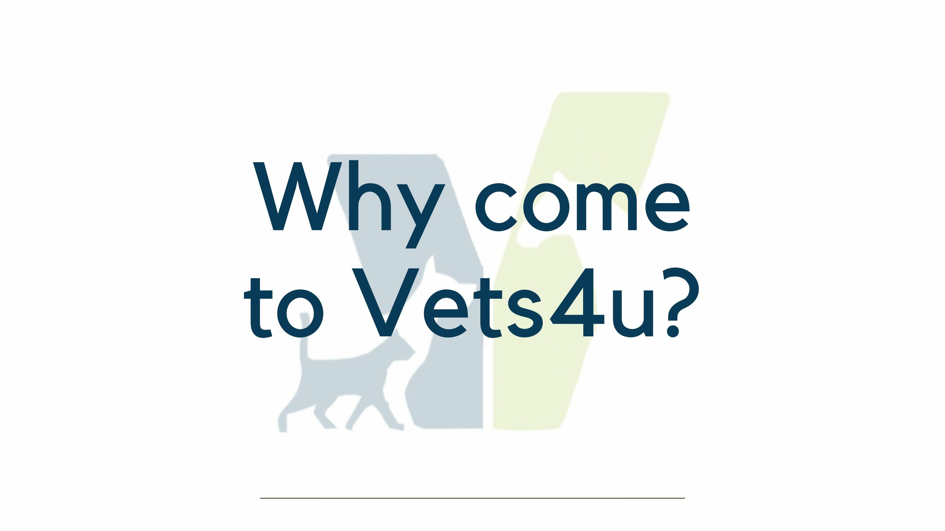 Vets online hot sale medication