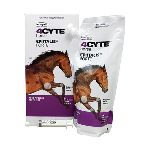 4cyte Epiitalis Forte Equine