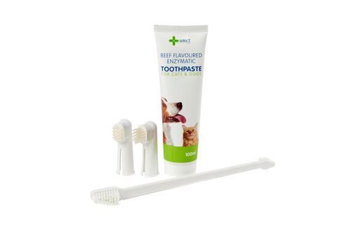 Dental Care Set Beef - Select EA