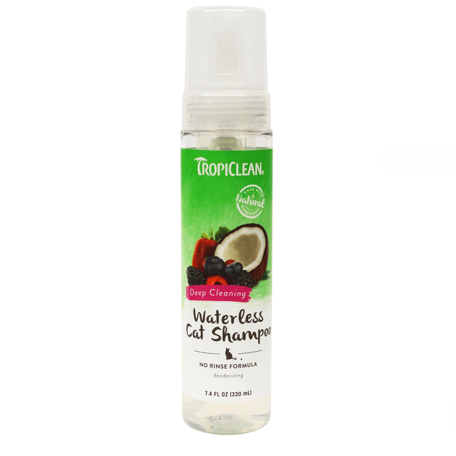 No rinse cat outlet shampoo