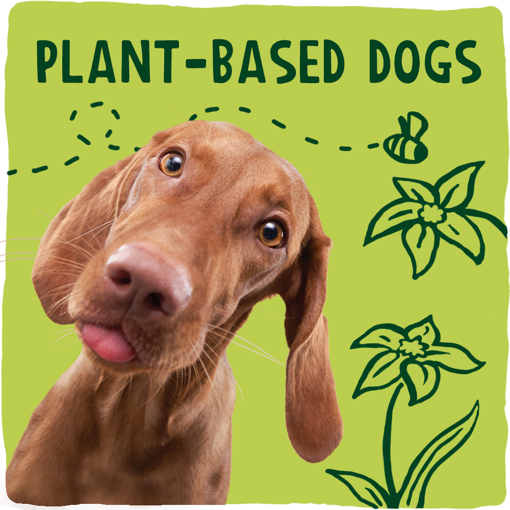 Plant sales based dog