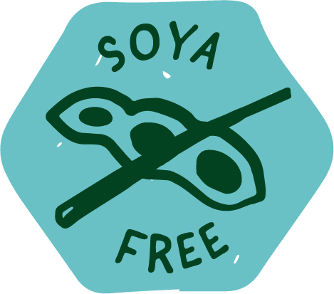 Soopa Grain Free Healthy Bites - Coconut & Chia Seed 50g