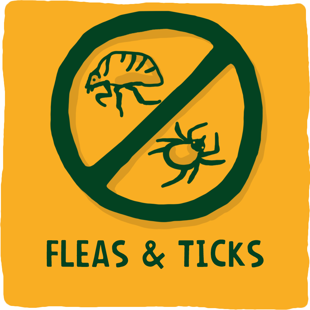 Flea & Tick Treatments