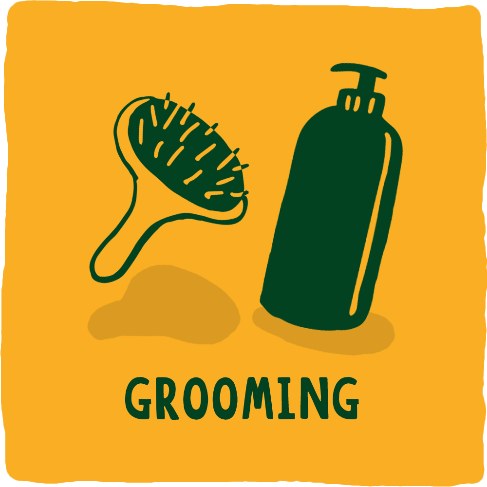 Cruelty Free Grooming Products