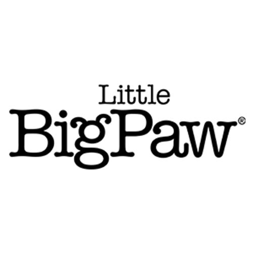 The Little BigPaw logo