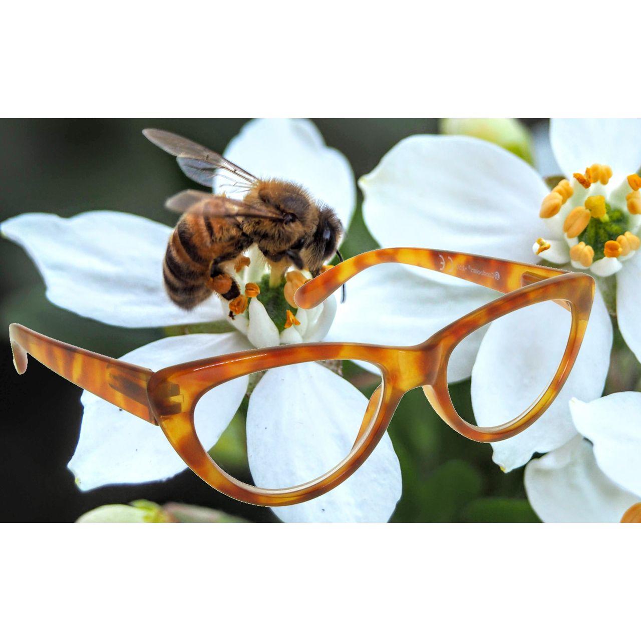 Reading Glasses Cat's Eye Honey-3