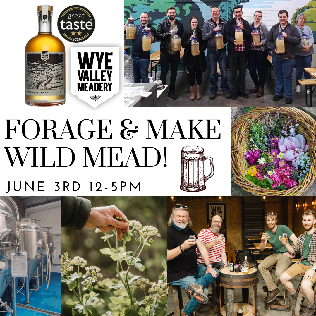 Foraging and Mead making course with Gourmet Gatherings