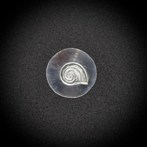 128 - Gemina Snail Shell Impression
