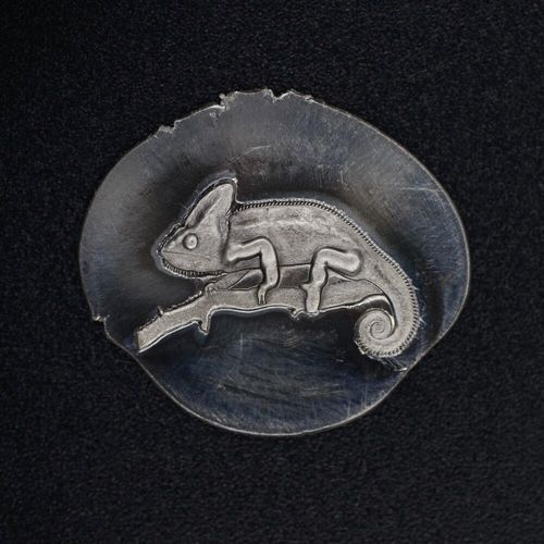 215 - Gemina Chameleon Shot Plate Impression