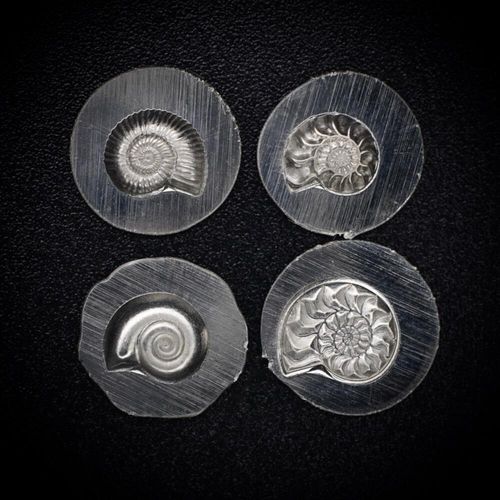 220 - Gemina Mini Ammonites Impressions