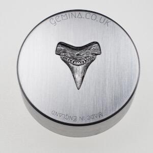 shark tooth