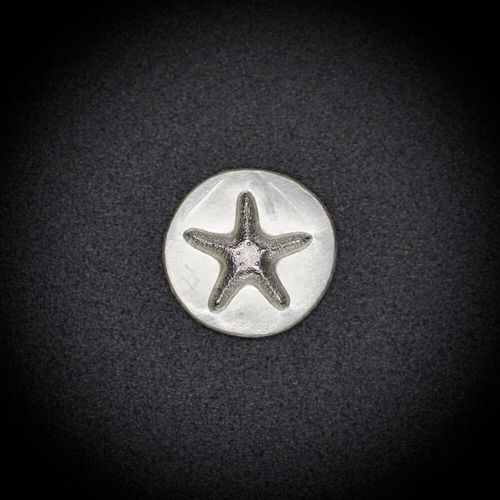 149 - Gemina Starfish Impression