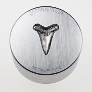 shark tooth